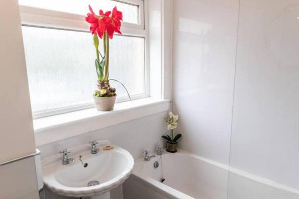 Ferienwohnung Cosy 1 Bed With Parking In City Centre Glasgow Exterior foto